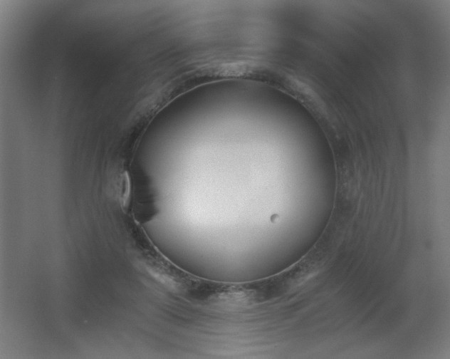 X0000068260307200604241238