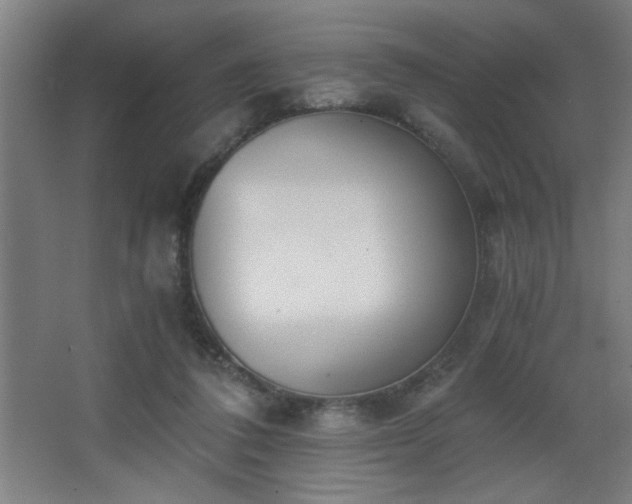 X0000068260308200604241238