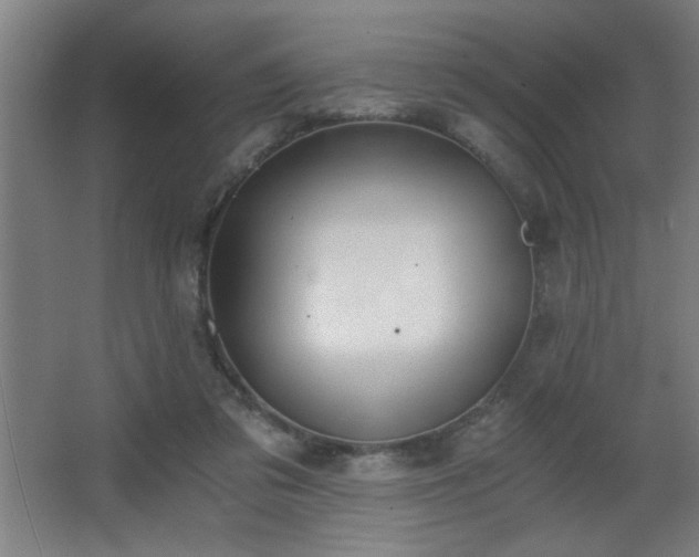 X0000068260309200604241238