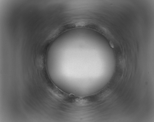 X0000068260311200604241238