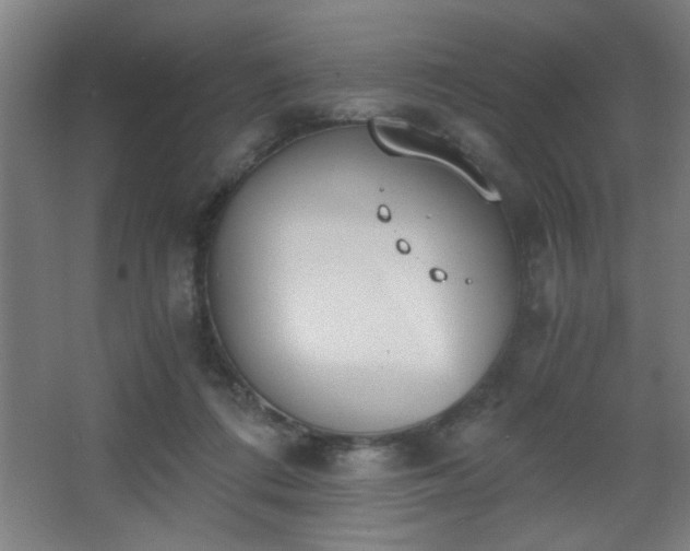 X0000068260312200604241238