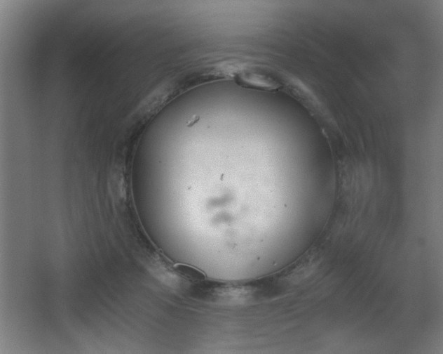 X0000068260313200604241238