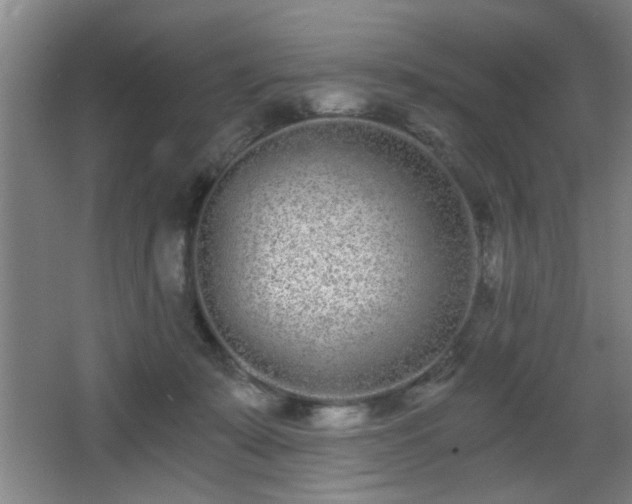 X0000068260319200604241238