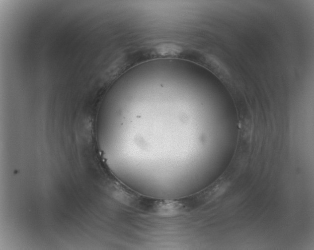 X0000068260321200604241238