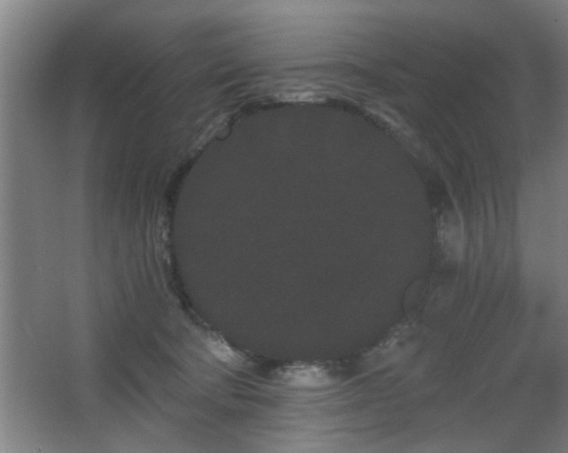 X0000068260322200604241238