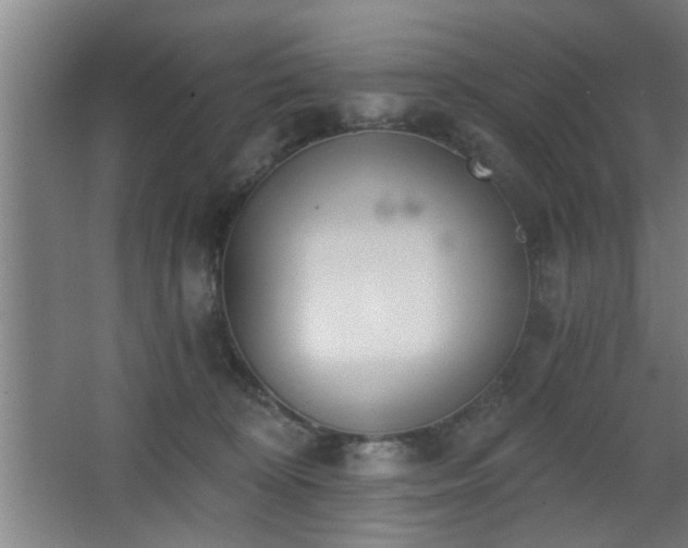 X0000068260324200604241238