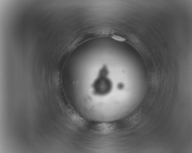 X0000068260326200604241238