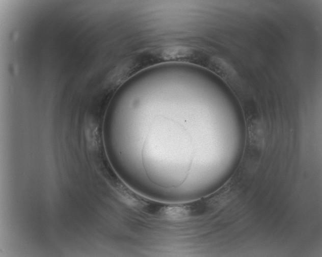 X0000068260327200604241238