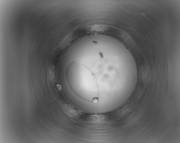 X0000068260328200604241238