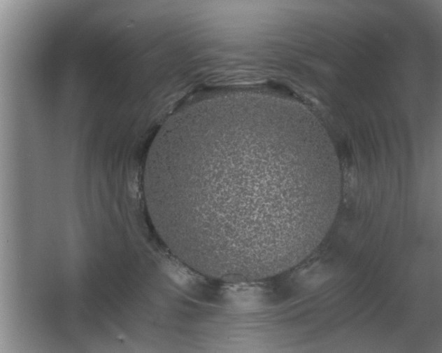 X0000068260331200604241238