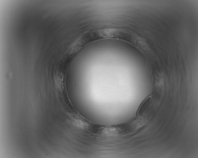 X0000068260332200604241238