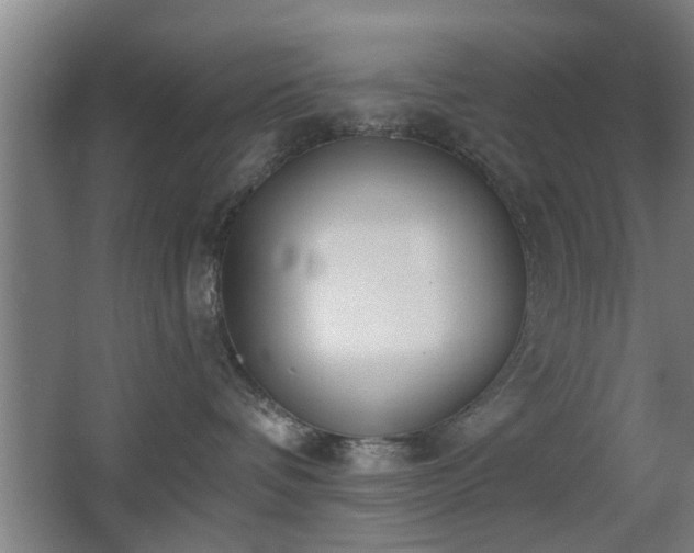 X0000068260336200604241238