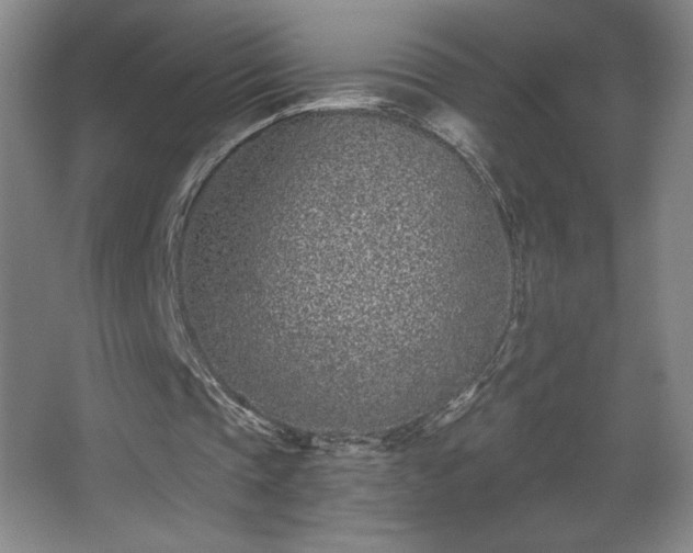 X0000068260337200604241237