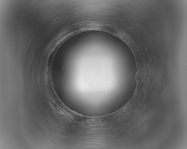 X0000068260338200604241237