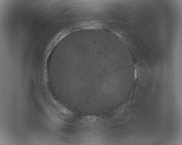 X0000068260339200604241237