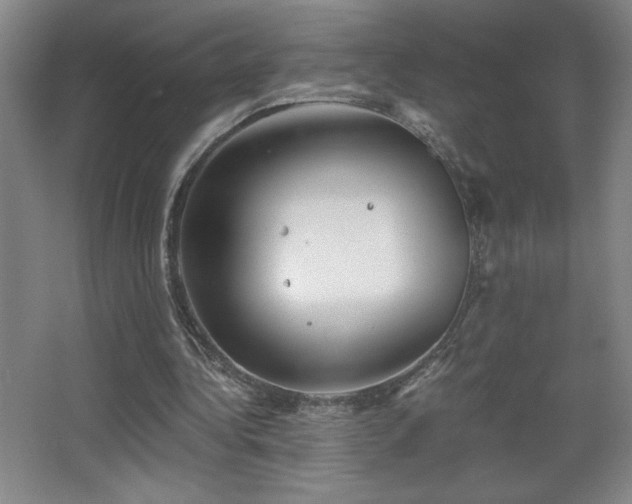 X0000068260340200604241237