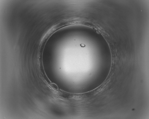 X0000068260341200604241237