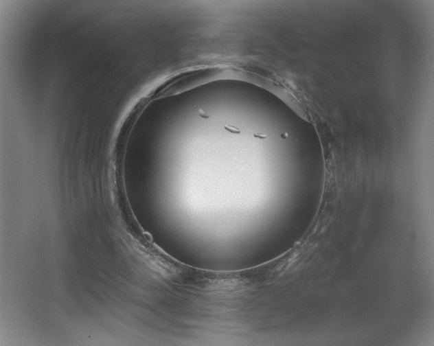 X0000068260342200604241237