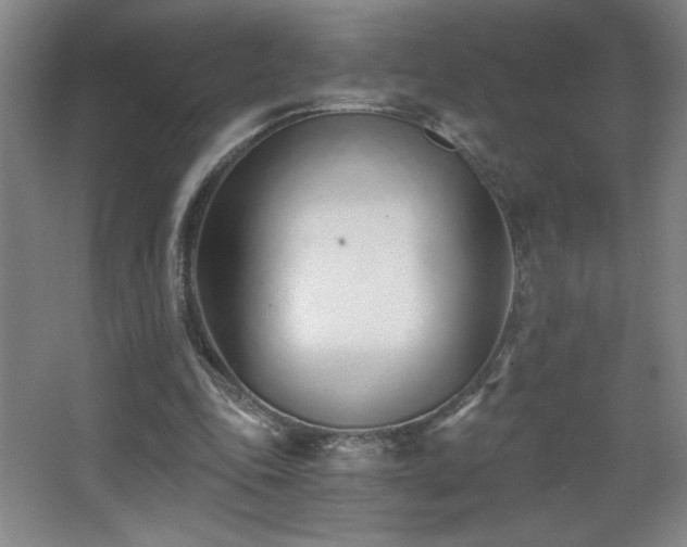 X0000068260343200604241237