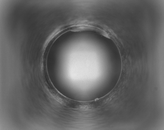 X0000068260344200604241237