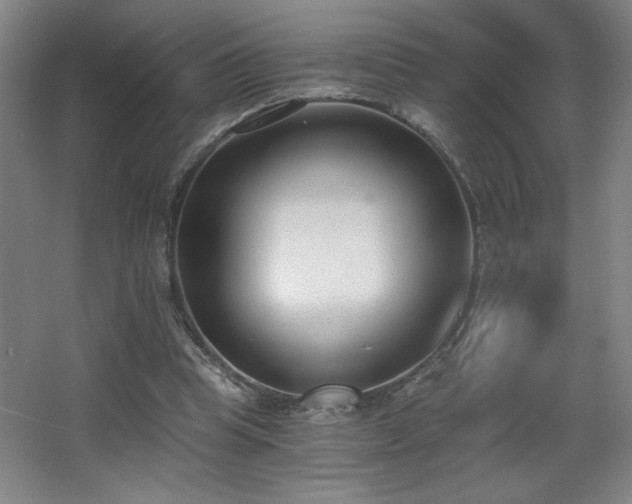 X0000068260345200604241237