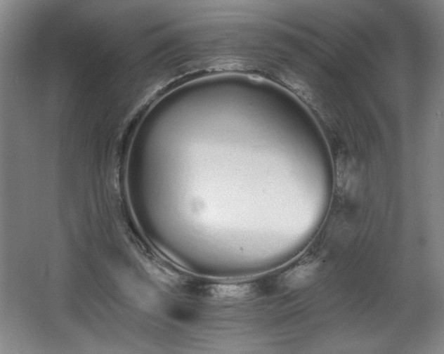 X0000068260347200604241237