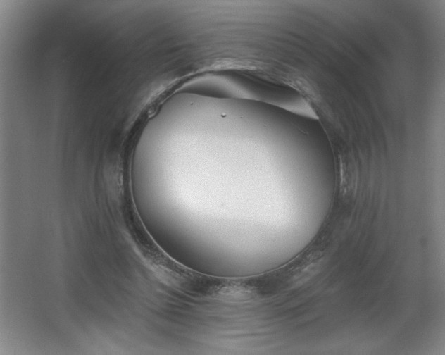 X0000068260348200604241237