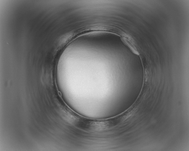 X0000068260349200604241237