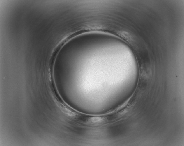 X0000068260351200604241237