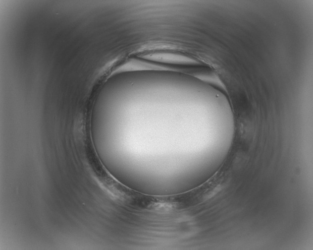 X0000068260352200604241237