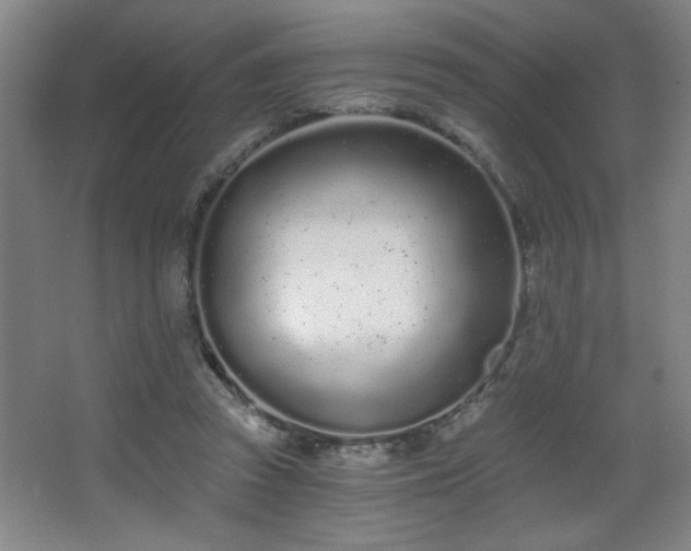 X0000068260353200604241237