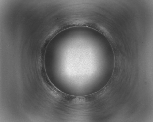 X0000068260354200604241237