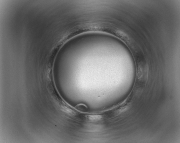 X0000068260355200604241237