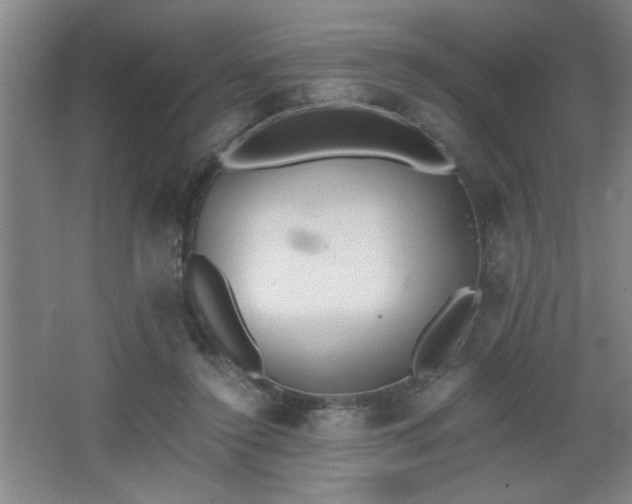 X0000068260356200604241237