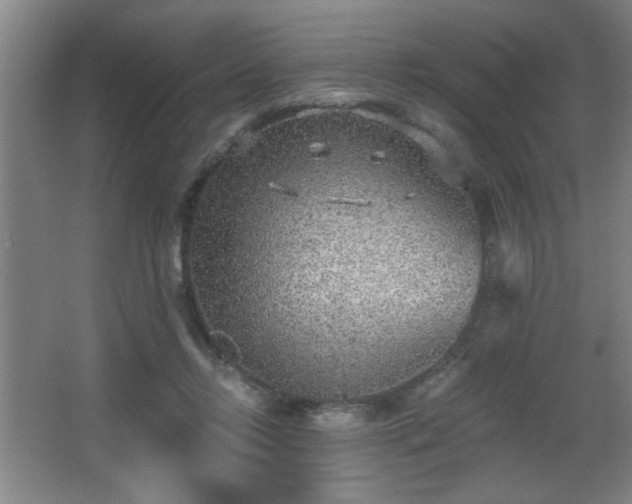 X0000068260358200604241237