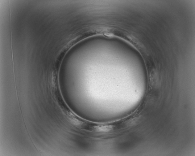 X0000068260359200604241238