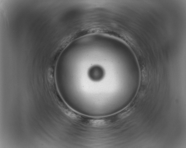 X0000068260361200604241238