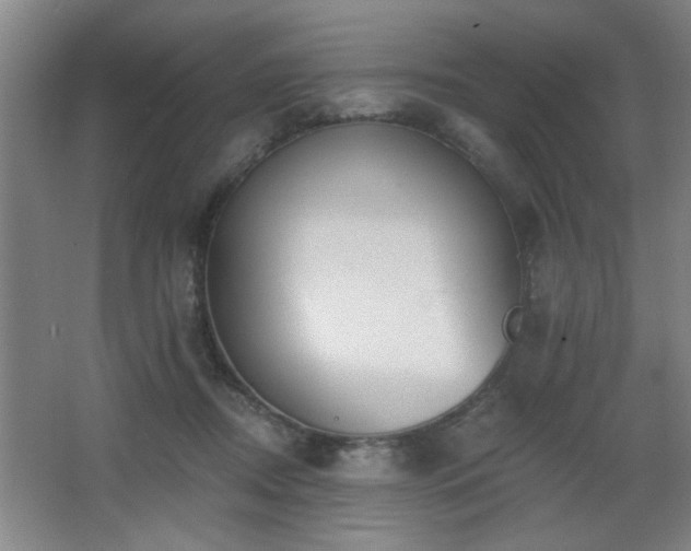 X0000068260362200604241238