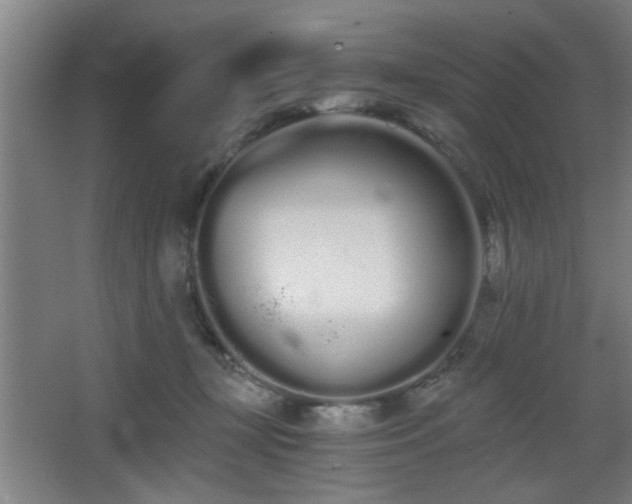 X0000068260367200604241238