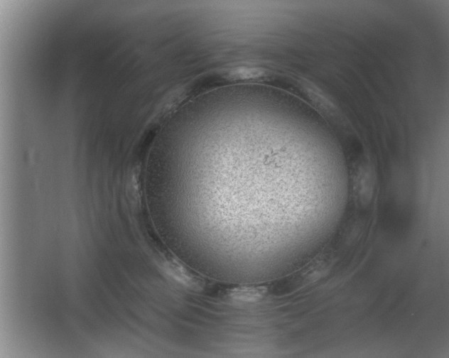 X0000068260373200604241238