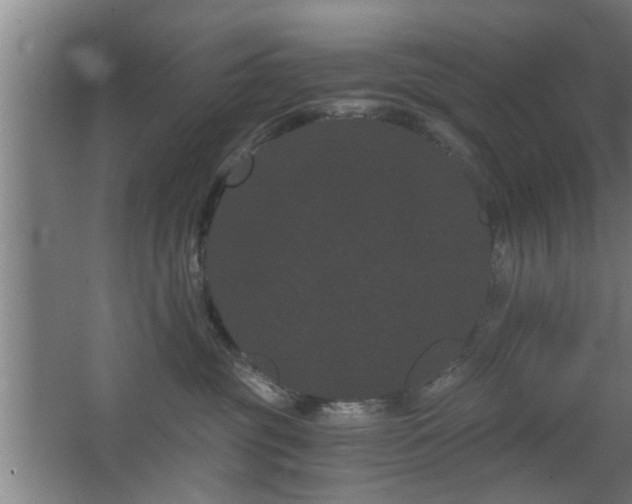 X0000068260381200604241238