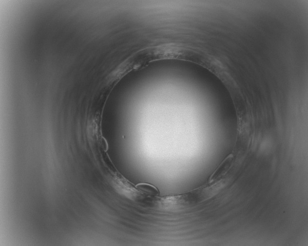 X0000068260382200604241238