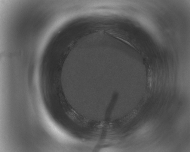 X0000068260383200604241238