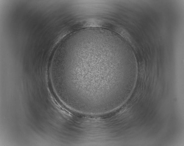 X0000068260386200604241237