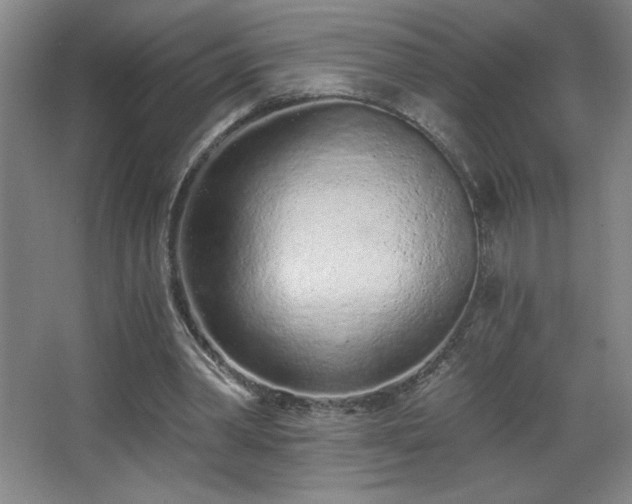 X0000068260390200604241237