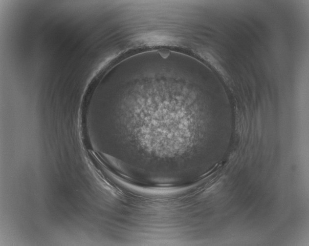 X0000068260391200604241237