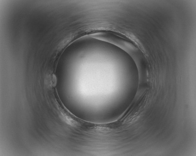 X0000068260393200604241237