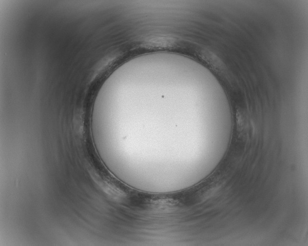 X0000068260396200604241237