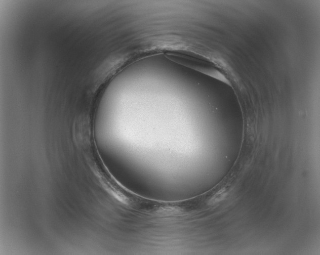 X0000068260397200604241237