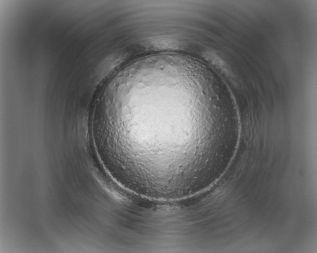 X0000068260398200604241237